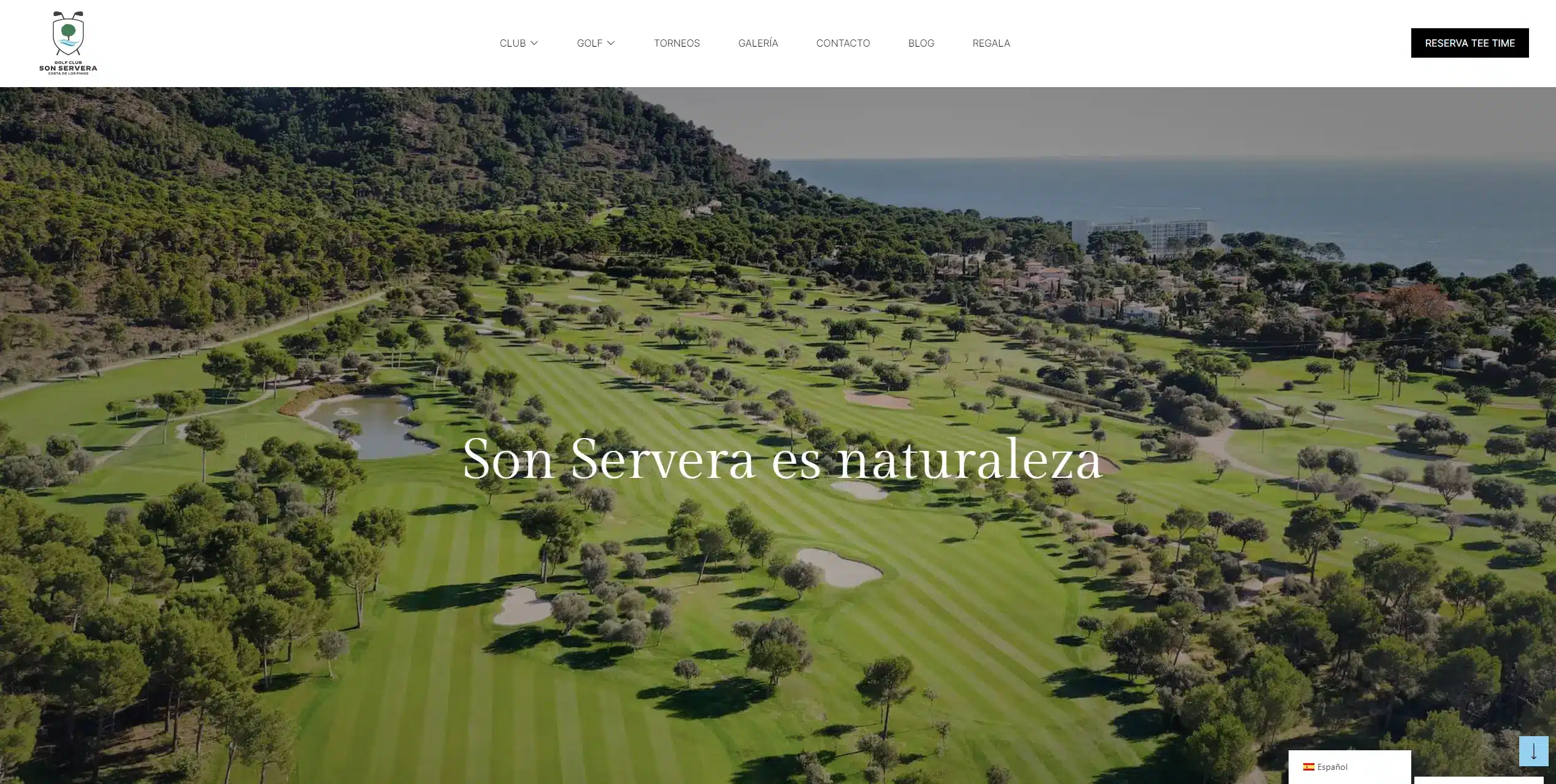 (c) Golfsonservera.com